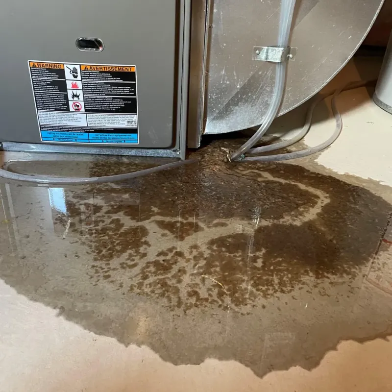 Appliance Leak Cleanup in Oak Ridge, NC